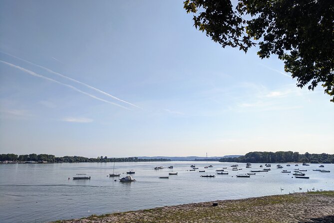 3-Hour Belgrade Zemun Neighborhood Tour - Zemun: why this part of Belgrade feels different