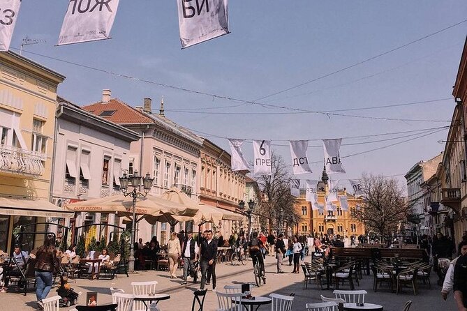 3 Hour Private Walking Tour in Novi Sad City - Name of Mary Church to City Hall: Catholic roots and the city’s civic power