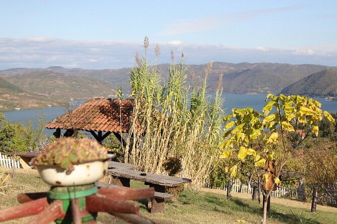 Along the Danube: Golubac Fortress & Iron Gate Gorge day trip from Belgrade - What to pack, how hard this day really is, and how to avoid discomfort