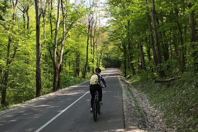 Avala & Kosmaj Bike Tour - Avala and Kosmaj by Bike: Why This Belgrade Half-Day Works