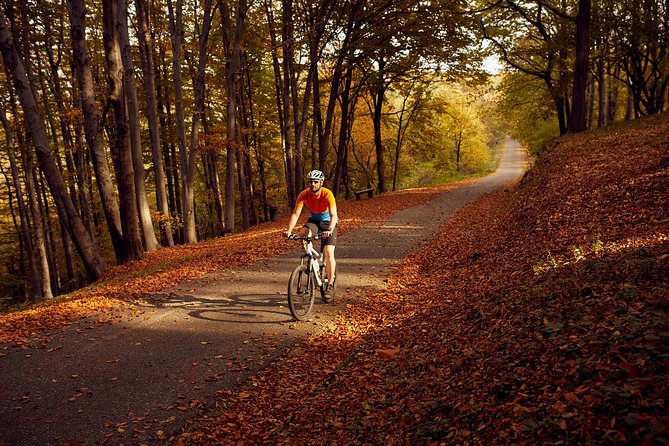 Avala & Kosmaj Bike Tour - Logistics: Hotel Pickup, Mobile Ticket, and the Transfer-Time Reality