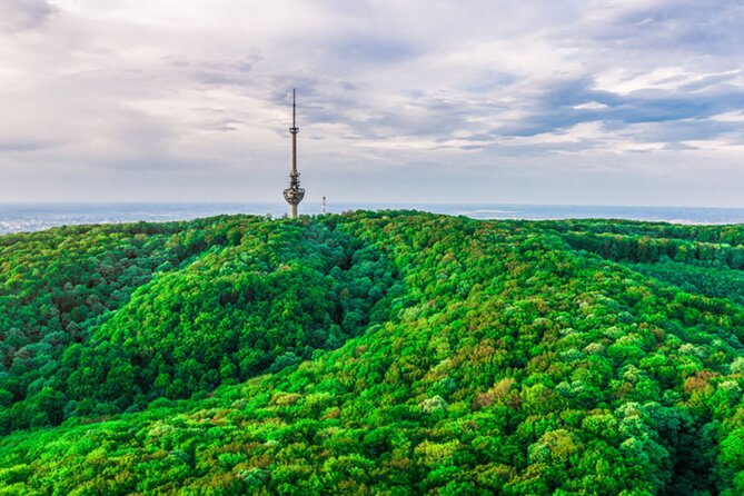 Avala Mountain Private Tour - Stop 2 at Avala Tower: quick visit, big view payoff