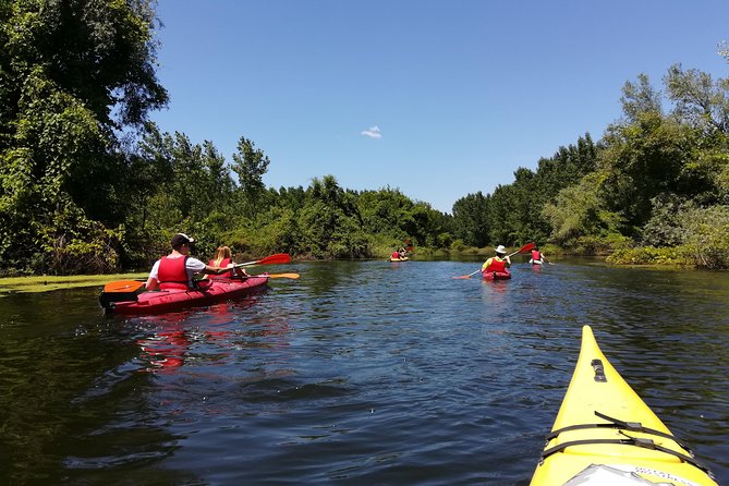 Belgrade Amazon Kayak Adventure - Key highlights that make this kayak trip stand out