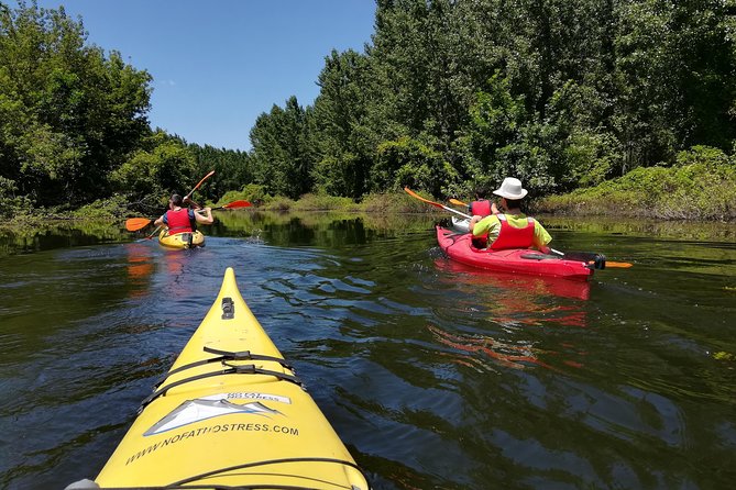 Belgrade Amazon Kayak Adventure - Why Beljarica wetlands feel like a whole different world