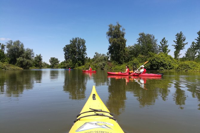 Belgrade Amazon Kayak Adventure - The 18 km Danube channel paddle: effort, pacing, and what to expect