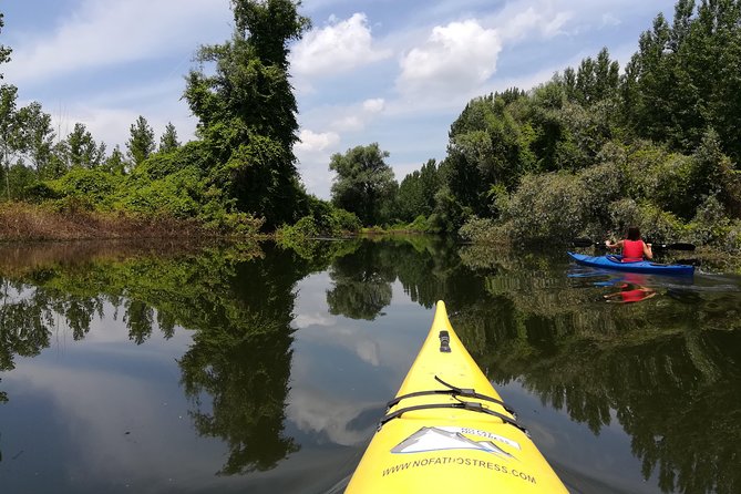 Belgrade Amazon Kayak Adventure - Wildlife spotting and bird photos in Beljarica’s maze of channels