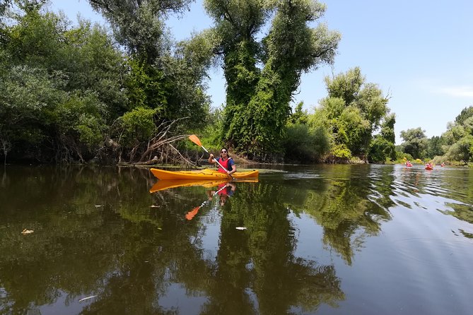 Belgrade Amazon Kayak Adventure - Why the kayak choice matters: stable, spacious, and easy to enjoy