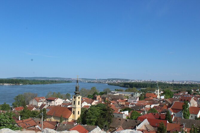 Belgrade Private City Tour – Metropolis Between East and West - Zemunska Pijaca: try what locals buy, not just what looks good in photos