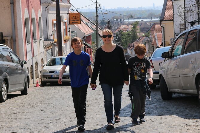 Belgrade Private City Tour – Metropolis Between East and West - Skadarlija and the optional truffle tasting with white wine