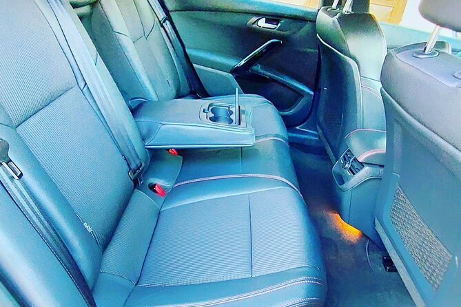 Belgrade To Kopaonik Private Taxi Transfer (city or the airport) - The Driver Experience: Professional, Friendly, and Helpful