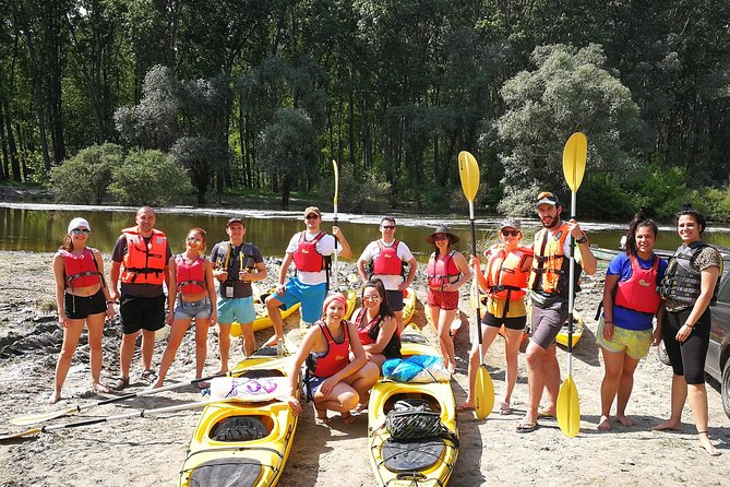 Belgrade War Island Kayak Tour - Key highlights you’ll actually feel