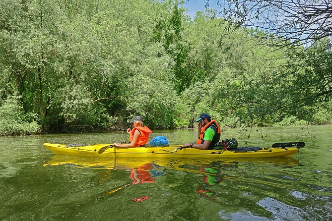 Belgrade War Island Kayak Tour - Why Kayak Great War Island Instead of Just Watching Belgrade from Shore