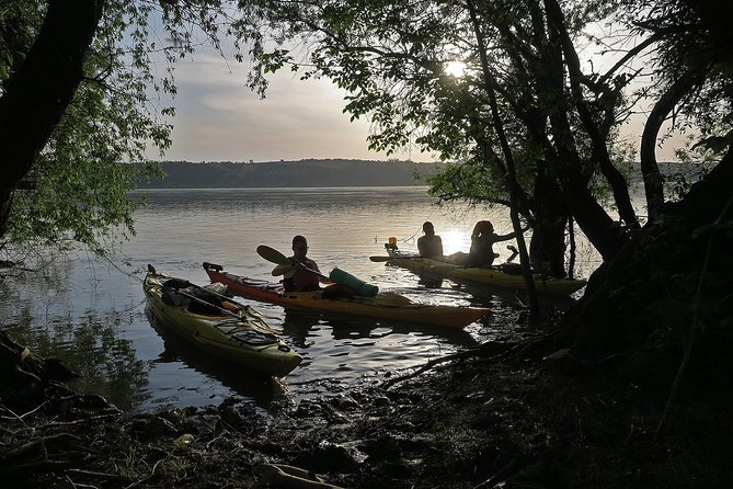 Belgrade War Island Kayak Tour - Getting to Ušće 7, meeting the guide, and how the tour starts