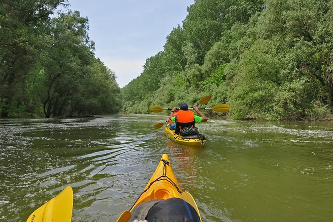Belgrade War Island Kayak Tour - Stop 1: Danube River, first strokes, and getting your balance