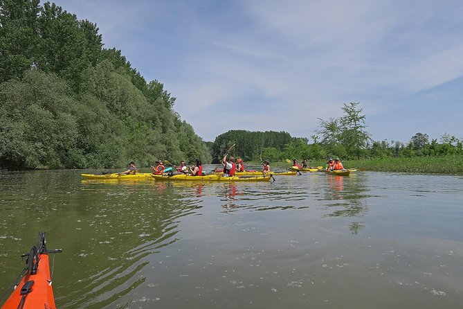 Belgrade War Island Kayak Tour - Stop 2: Sava River for different scenery and calmer moments