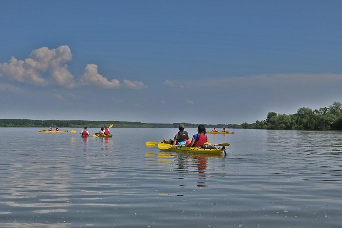 Belgrade War Island Kayak Tour - Stop 4 and 5: Great War Island, Veliki Galijaš, and Belgrade from the water