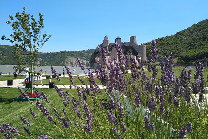 Danube: The Iron Gate - Full Day Tour from Belgrade - Key highlights you should care about