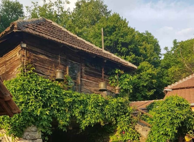 From Belgrade: Full Day Tour to Resava Valley - Who should book this Resava Valley day trip, and who should skip it