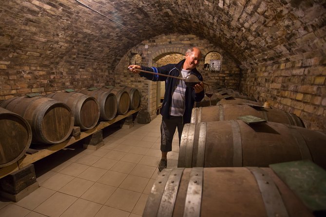 From Belgrade: Novi Sad and Sremski Karlovci Tour - What to Wear and Know Before You Go
