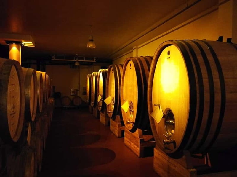 From Belgrade: Subotica and Palic Full-Day Trip with winery - Key Highlights Worth Your Time