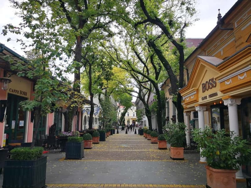 From Belgrade: Subotica and Palic Full-Day Trip with winery - The Synagogue Entry Included: A Practical Cultural Stop