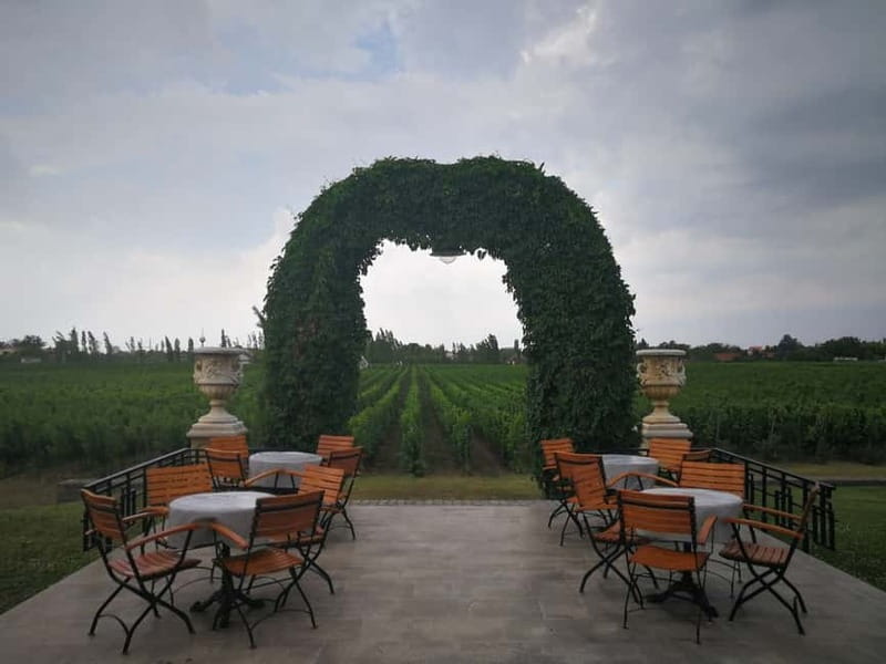 From Belgrade: Subotica and Palic Full-Day Trip with winery - The Winery Stop at Zvonko Bogdan: How the Tasting Works