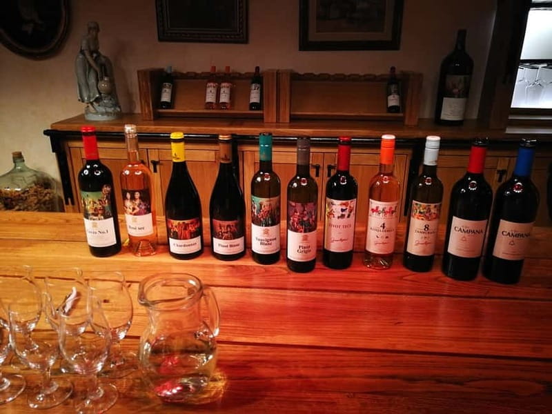 From Belgrade: Subotica and Palic Full-Day Trip with winery - Palić Lake: The Resort Break That Makes the Day Feel Balanced
