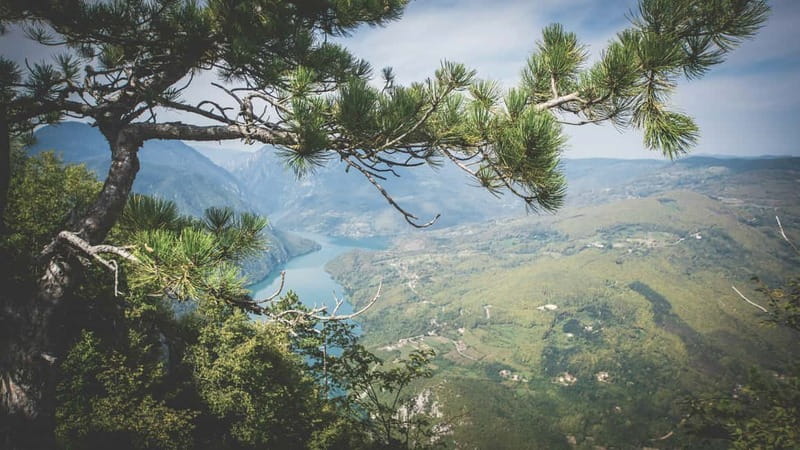 From Zlatibor/Užice: Mokra Gora & Tara National Park - Tara National Park: viewpoints, lakes, and the one-spruce story