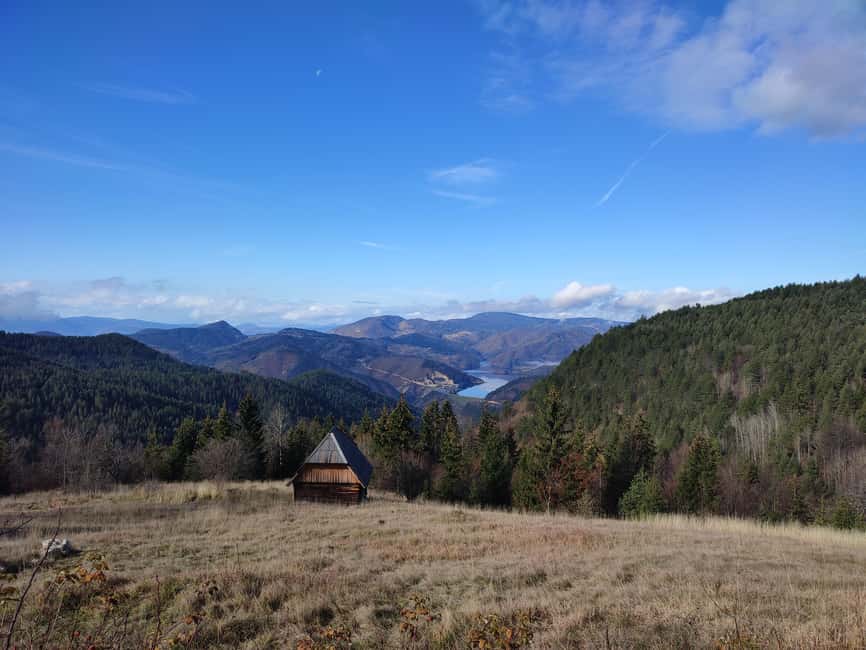 From Zlatibor/Užice: Tara National Park Adventure - The Big Attraction Here: Viewpoints Plus Real Nature Stops