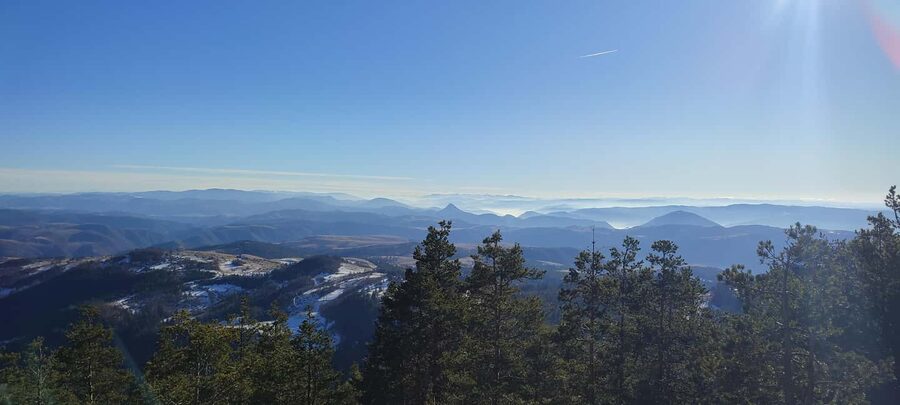 From Zlatibor/Užice: Tara National Park Adventure - Spajići Lake and Pančićeva Omorika: Tara’s Botanical Claim to Fame