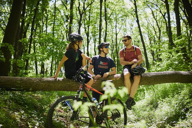 Fruška Gora Bike Tour - Fruška Gora’s Big Appeal: Forest Riding Plus Cultural Stops