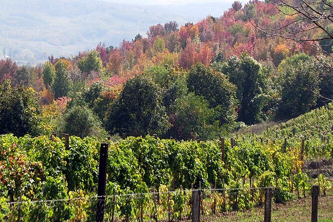 Full-Day Private Royal Heritage Tour to Oplenac With a Winery Visit - Should you book this private Royal Heritage tour to Oplenac?