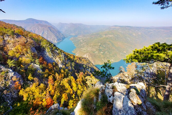 Full Day Trip from Belgrade: The Drina River House And Tara Park Tour - Drina River House: the photo stop with a flood-survival origin story