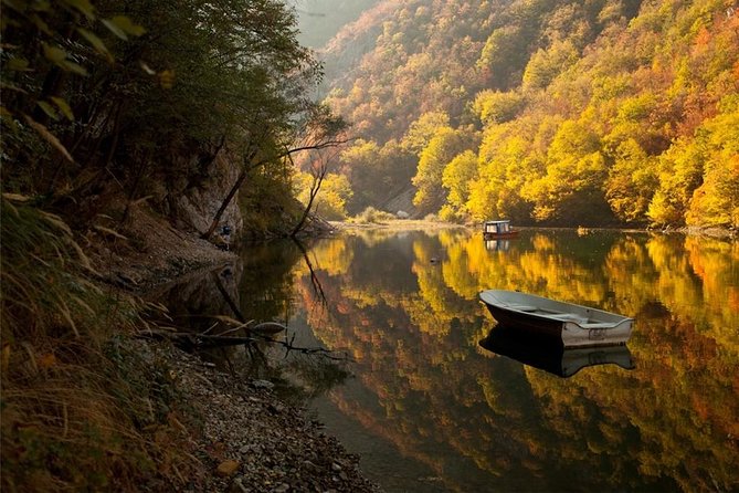 Full Day Trip from Belgrade: The Drina River House And Tara Park Tour - Wild spruce, gorge views, and nature without the hard sell