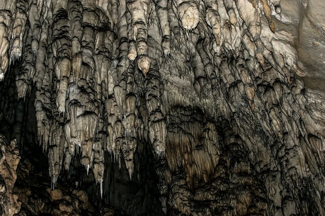 Full Day Trip from Belgrade: Uvac Nature Reserve Tour - What “lunch not included” really means on this tour