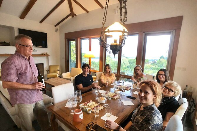 Natural wine tasting with great views - Natural Wine and Organic Grapes, With Belgrade-Area Views