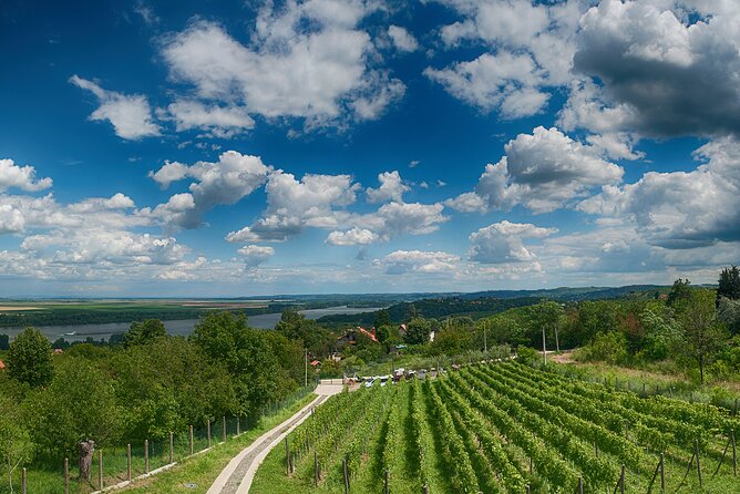 Natural wine tasting with great views - Snacking Like a Local: Included Bites and Practical Pairing
