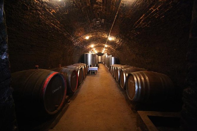 Novi Sad and Sremski Karlovci private tour with wine tasting - A smooth day away from Belgrade, starting at 9:00 am