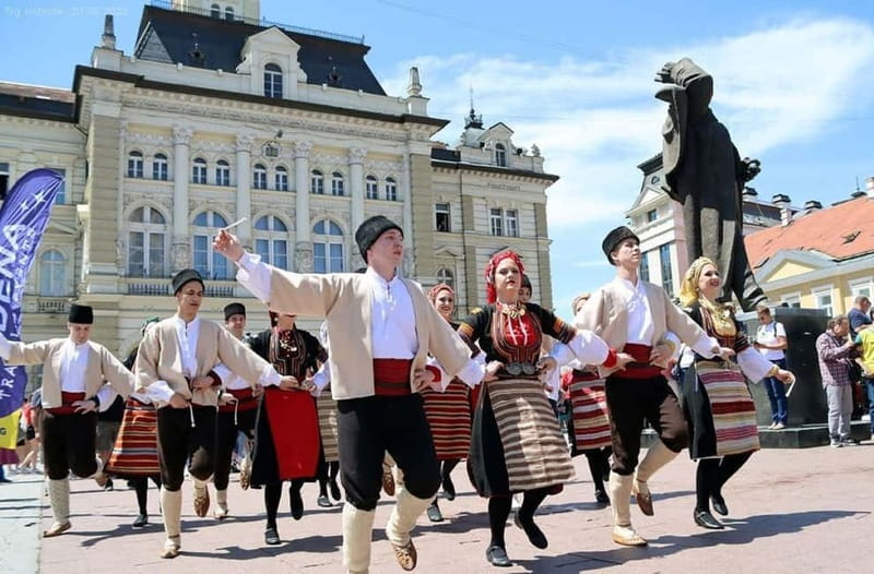 Novi Sad: Walking Tour city center and Petrovaradin Fortress - Matica Srpska: Serbia’s cultural heavyweight, explained while you walk