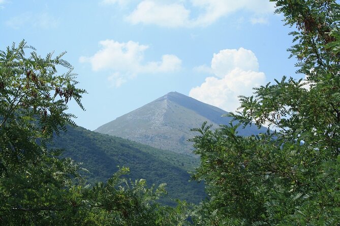 Private Day Tour to UNESCO site Felix Romuliana - Price and value: is $307.70 per person fair for this day?