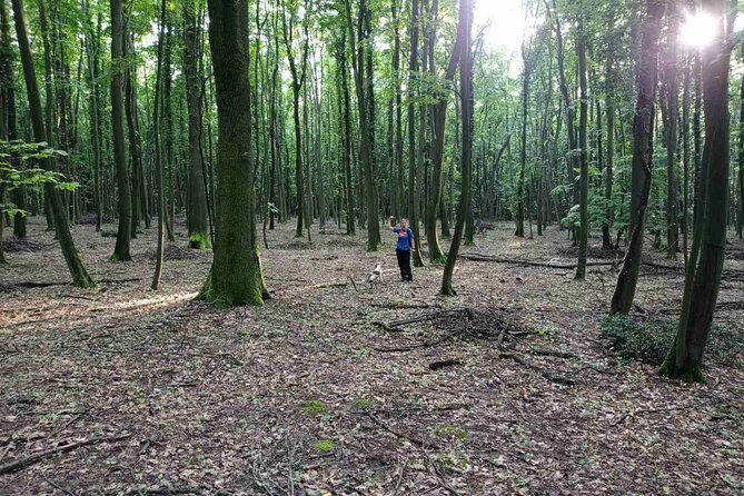 Private Guided Truffle Hunting Tour in Serbia with Lunch - Lunch With Fresh Truffle, Wine, and Truffle Jam
