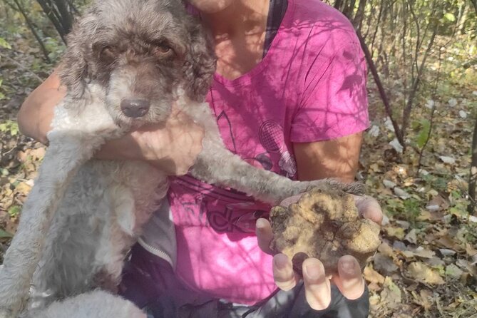 Private Guided Truffle Hunting Tour in Serbia with Lunch - Who This Tour Suits Best (And Who Should Rethink It)