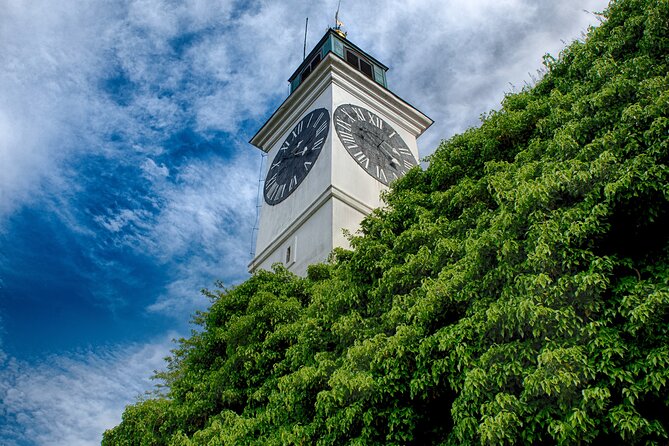 Private Half Day Serbia Tour Novi Sad and Petrovaradin Fortress - Price, timing, and what the guide does for you