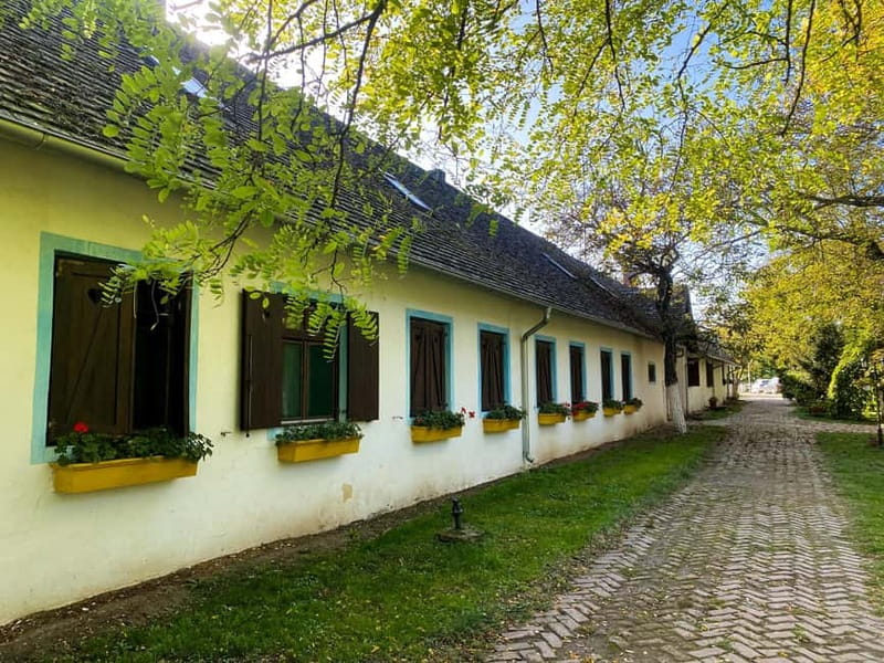 Private Novi Sad, Sremski Karlovci & Farmer's House - Salas 137: traditional farmer’s house, photo stops, and lunch options