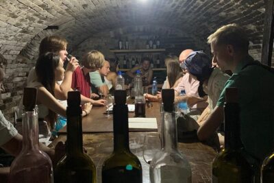 Private Novi Sad, Titanic wine tasting and Farmer’s House