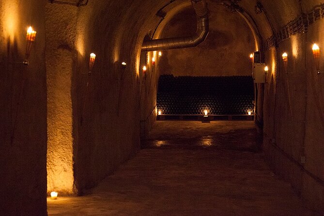 Private Wine Tasting by Party in Belgrade - Price And Value: Is $75.24 For 3 Hours Worth It?