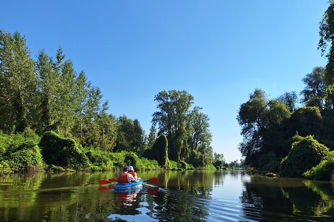 Self-guided kayak tour in Belgrade - Price and value: what you’re paying for at $31.21