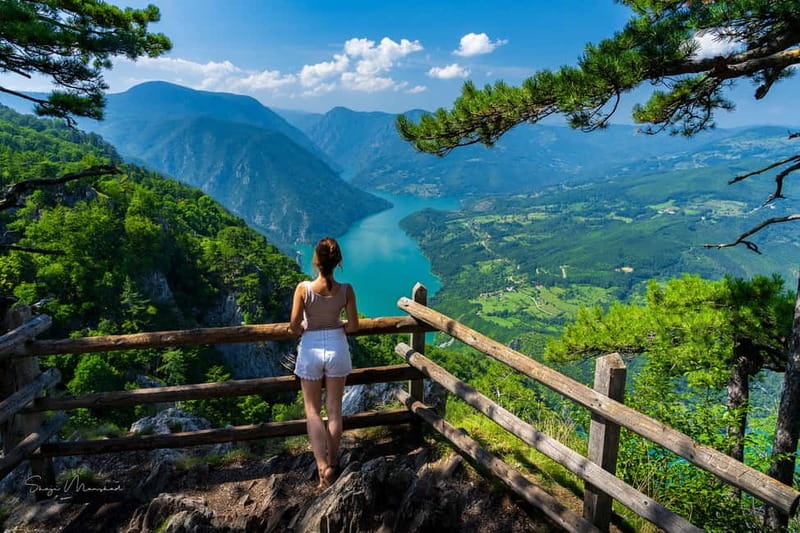 Serbia: Drina River House & Tara National Park Full Day Tour - Key points to know before you go