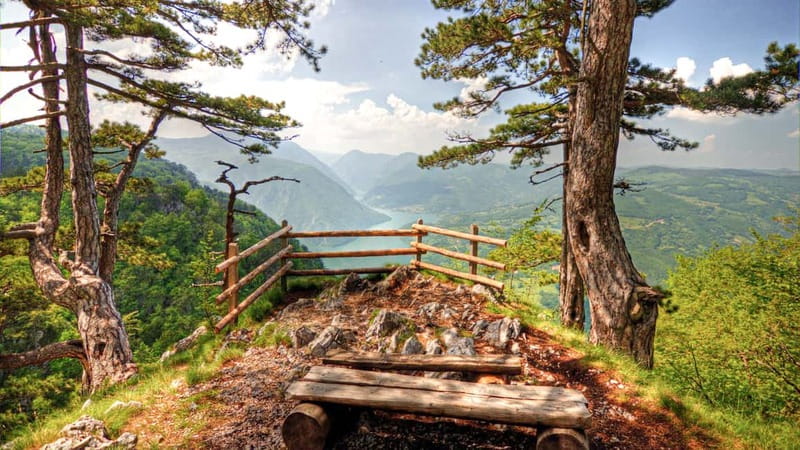 Serbia: Drina River House & Tara National Park Full Day Tour - House on the Drina: your calm, postcard-photo moment