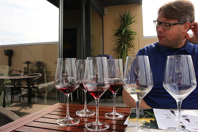 Small Group Wine Tour in Sumadija Wine Region - Small group feel, English guidance, and why that matters for wine tasting